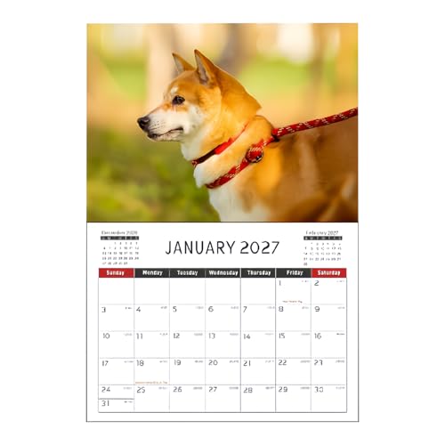 Humdcdy Dog Calendar 2026 | 킢A[eBXeBbNm[gA݂艺\ȌԕǊ|J_[ | vA׋AAEAfXNAƑ̐Ae[uAwZAFBɁB