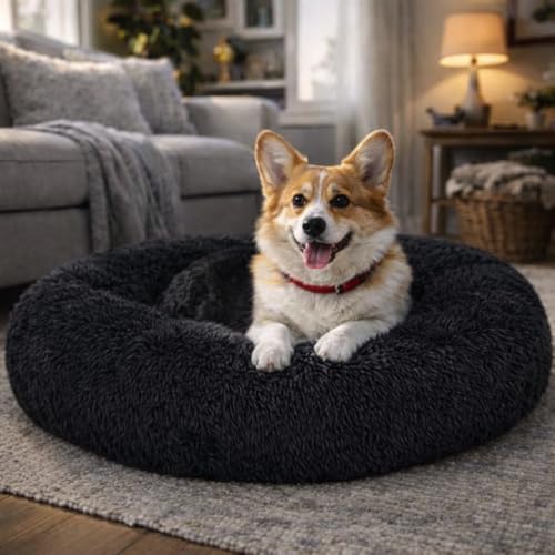 Image of ZEXSAZONE Summer Round Donut Comfortable Durable 2 in 1 and Washable Pet Bed | Cat Bed | Puppy Bed | Dog Bed | Medium Dog Bed for Cats Puppies Labrador German (Black, Medium)