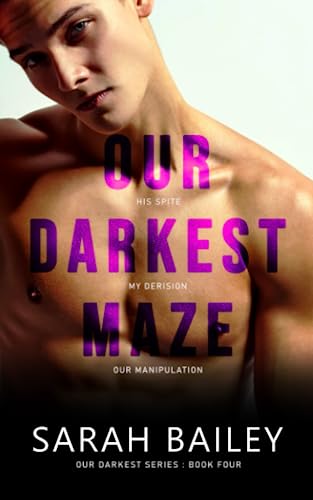 Our Darkest Maze view 2