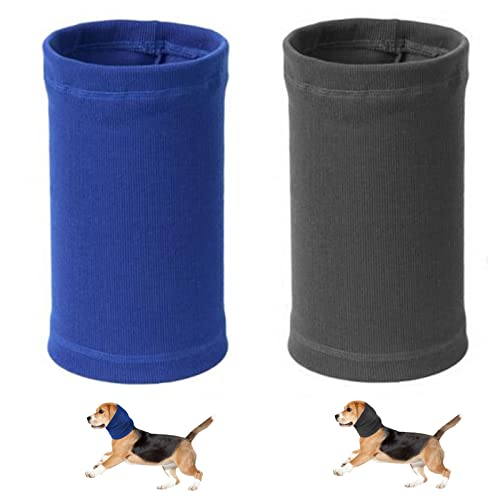 نقد مطواع شاطئ بحر cuffia paraorecchie per cani - siprofitness.com