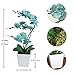 YSZL 15 Inches Tall Artificial Silk Phalaenopsis Orchid Flower Plant Pot Teal Arrangements (Golden Blue)