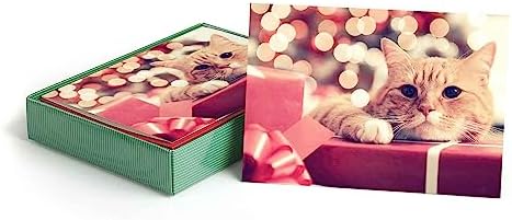 14-Pack Cat Christmas Cards With Non-Flake Glitter - Santa Hat Beach Theme Holiday Greeting Cards