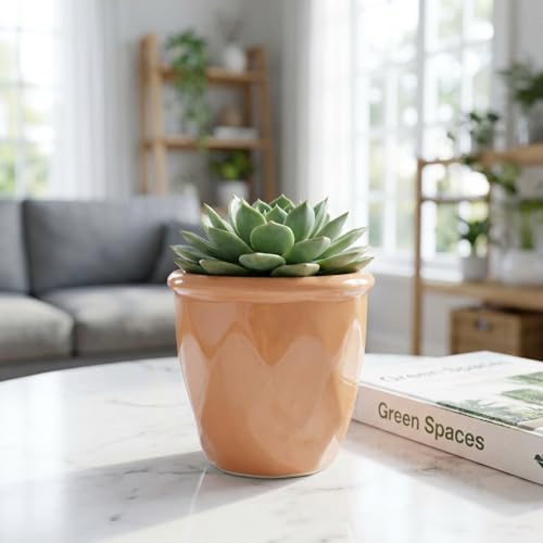 Image of ecofynd 4 Inch Ceramic Plant Pots with Drainage Hole, Modern Decorative Clay Flower Pots for Indoor Plants, Home Garden Decor for Living Room, Bedroom & Interior Spaces (CPOT043-PEH)