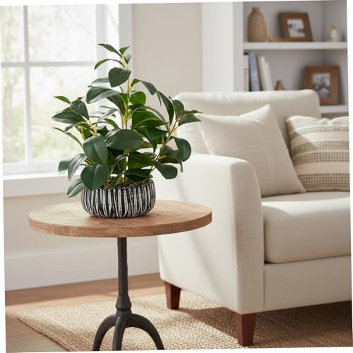 Plantas artificiales pequeñas en macetas de cemento decorativas 5