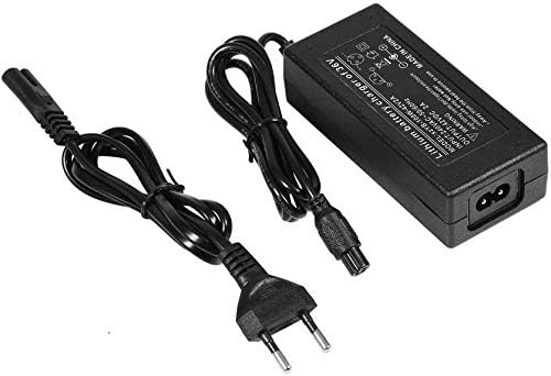 caricabatterie hoverboard per swagtron