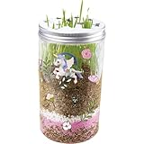 d'arpeje funbee cross patinette 12 Características: ¿Lo más pequeño que alegrará a los niños? El terrario es para decorar y se ilumina por la noche.