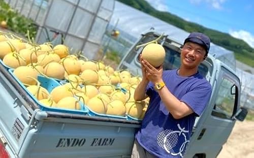 [ふるさと納税][2026年発送]遠藤ファームの中富良野メロン 青肉特大 2玉4kg以上