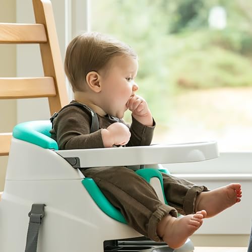 Ingenuity Multi Assento Baby Base 2 Em 1 Verde Claro Verde Claro