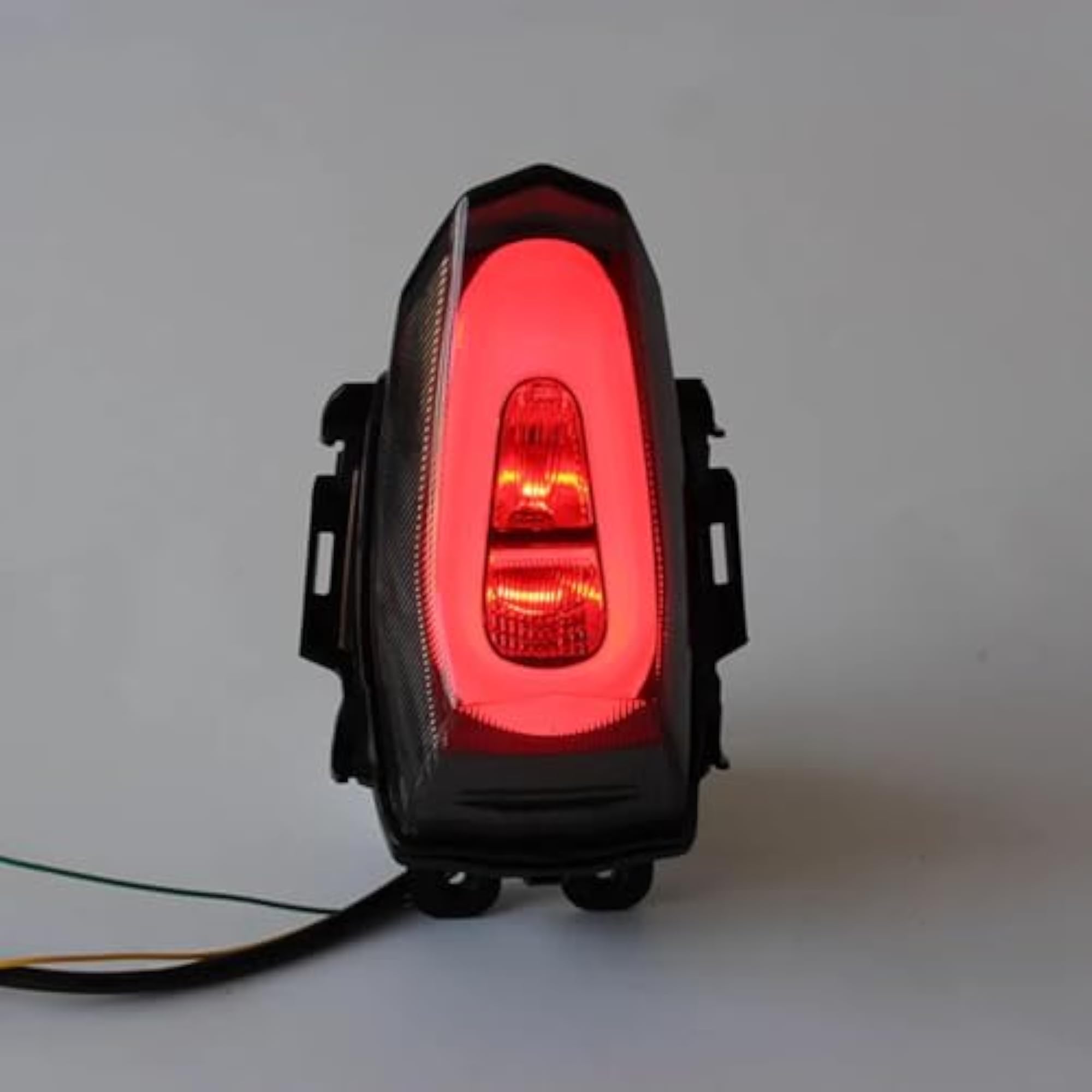 Tail Light with Flowing Turn Signal Indicator for R15