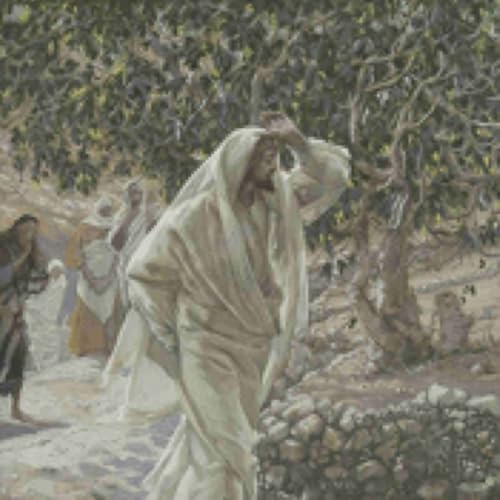Friday of the Eighth Week in Ordinary Time - Barren Spirituality or Fruitfulness