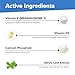 Superior Source K2 (MK-7) 100 mcg, with D3 (5,000 IU) Supplement, Quick Dissolve MicroLingual Tablets, 60 Count, Strengthen Bones, Cardiovascular & Immune System Support, Non-GMO
