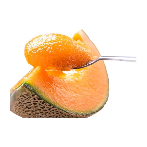 [2026年7月中旬〜発送]北海道 富良野 メロン Lサイズ 1.3kg以上×1玉 (スイートベジタブルファクトリー) メロン フルーツ 果物 新鮮 甘い 贈り物 ギフト 道産 ジューシー おやつ ふらの ブランド 夏