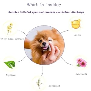 Dog Tear Stain Remover Starter Kit, with Witch Hazel Extract, Remove Tear Stains, Discharge & Mucus, includes Stain Solution, Applicator Wipes, Stain Powder & Brush, Lasts 30-45 Days