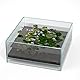LANDEN Glas-Luft-Aquarium-Tank, Multi-SceneLandschafts-Aquarium, randlos, eisenarmer, Flacher Tank, B 27 x T 27 x H 12 cm, 5 mm Dicke
