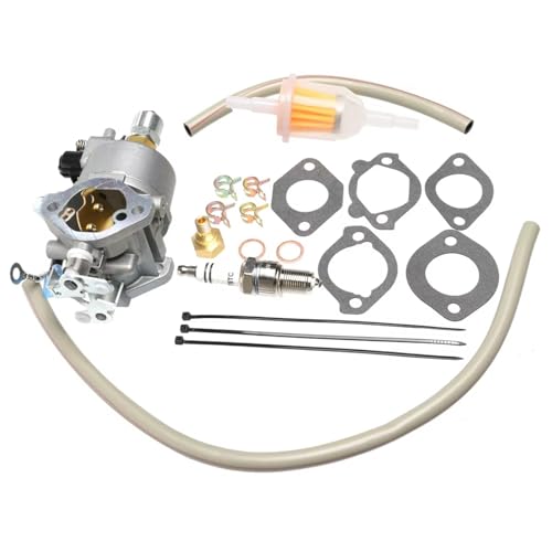 Carburateur pour Cummins Onan A042P619 remplace 146-0785