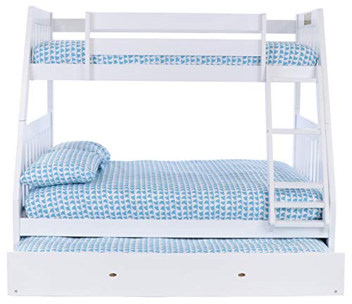 discovery world bunk bed