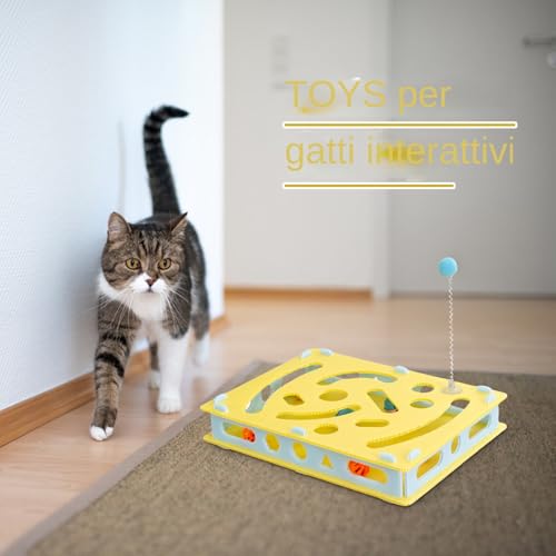 Stimulation mentale des chiots et chats avec ce puzzle d'activité - 3