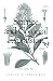 Science and Colonial Expansion: The Role of the British Royal Botanic Garden
