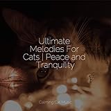 Calming Cat Music