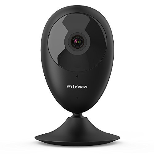 Best Laview Home Cameras