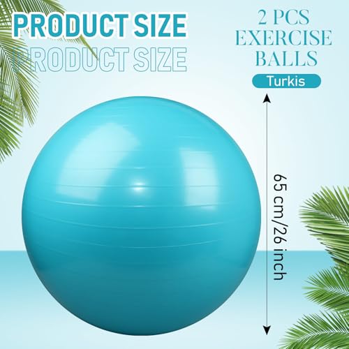 Image of Leyndo 2 Pcs Exercise Ball Yoga Ball with Pump 26 Inches / 65 cm for Workout Pregnancy Stability Anti Burst Birthing Fitness Improved Posture, Balance, Yoga, Pilates, Training