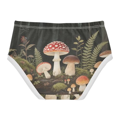 Hipster Panties Breathable Panties Organic Underpants for Baby Girls in Sizes 2T,3T, 4T, 5T, 6Y and 8Y2