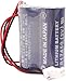 CR17450-2WK27 / D80UB016170 3V Replacement PLC Battery 2*CR17450 Battery Pack for 2CR17450 3V