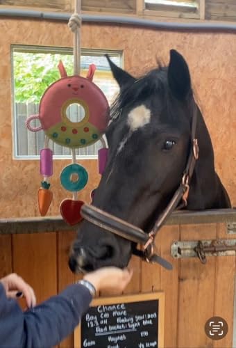 Ruggles Horse Stable Toy | Boredom buster for horse pony donkey (Multi Ring)