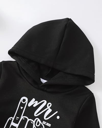 Image of Renotemy Toddler Baby Boy Clothes Denim Outfits Infant Hooded Sweatshirt Jeans Pants Little Boys Clothing