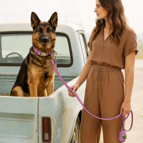 Image of Didog Soft PU Leather Dog Collar for Large Dogs, Quick Release, Purple XL