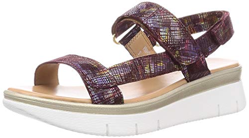 [AViKIWT] T_ 0200237 fB[X p[v 23.5~24.0 cm