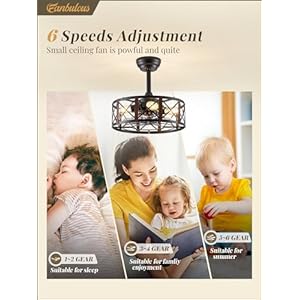 16in caged ceiling fans with lights and remote fandelier ceiling fan with 6 speeds and timing no beep farmhouse samll fan lights ceiling fixtures for kitchen bedroom outdoor walnut  urban country home decor