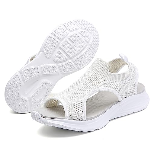 [AOIREMON] X|[cT_ fB[X t@bVT_ Xb| EH[LO r[` Xj[J[ r y Ȃ ~ ʋ ʊw