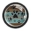 Teal Brown Wood Grain Galaxy Paws