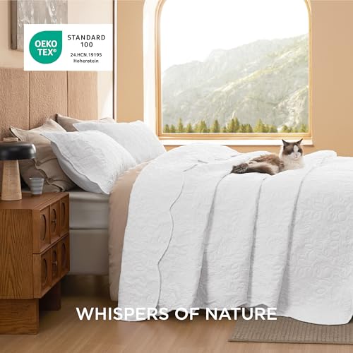 Image of Bedsure Quilts Queen Size - Ultra Soft Pre-Washed Cloud-Like Bedding, All-Season Lightweight Comforter for Country Bedroom, Leaf Design Coverlet in Pure White, 90 x 96 Inches