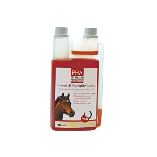 Vitamin B Komplex Pferd Die 15 besten Produkte im Vergleich