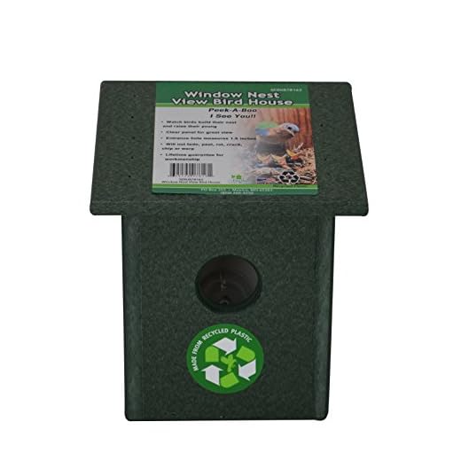 Songbird Essentials Recycled Plastic Window Nest View Bird House