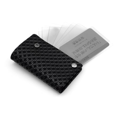 [B] ` J[hP[X ی }Cio[ f@ 10 v  H|i No.2521 ([01-177] n- ֌q)