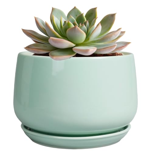 G EPGardening Ceramic Plant Pots, 6 Inch Pot for Plants, Green