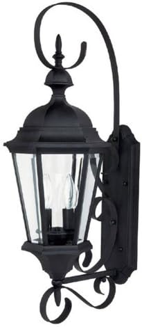 Capital Lighting 9722BK Carriage House Clear Glass Outdoor Wall Sconce, 27" H x 10" W, 2-Light 120 Total Watts, Black