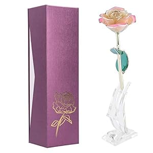Ejoyous Mothers Day Rose Gift for Mom 24K Gold Dipped Pink White Rose Forever Preserved Rose Flower with Crystal Stand for Valentines Day Christmas Birthday Anniversary