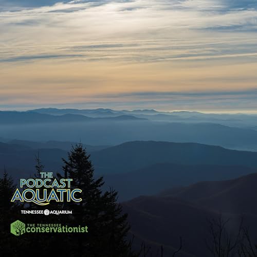 Spooky Season Special: Appalachian Animal Mythbusters