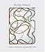 Plane Image: A Brice Marden Retrospective