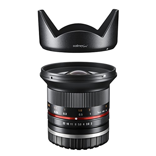 Walimex Pro Objetivo Gran Angular 1:2 para Sony E-Mount - Fernando Cortés