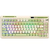 Amazon.com: KZZI K75 PRO RGB 75% Wireless Gasket Mechanical