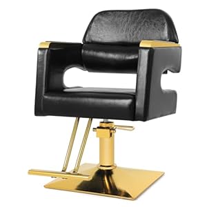 Artist hand Stylist Chairs for Salon, Salon Chair for Hair Stylist, Hydraulic Barber Chair 360 Degree Swivel Salon Chair Modern and Comfort, Spa Beauty Equipment Max Load Weight 330 Lbs Women Man Gold