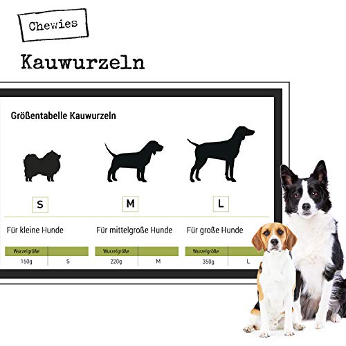 Chewies Kauwurzel für Hunde aus Baumheide Wurzel - 100 % natürliches Hunde-Spielzeug risikoarm & langlebig: Für Hunde bis 10 kg Körpergewicht, S (1er Pack)