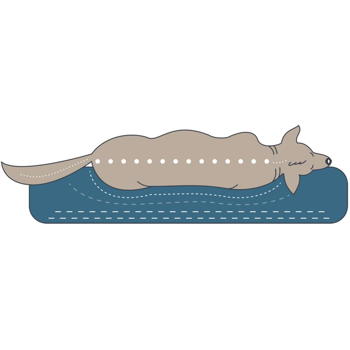 HUNTER Orthopädisches/Ergonomisches Hundekissen Merida mit Memoryschaum, Kann eine gelenk- und rückenschonende Haltung unterstützen; Rutschhemmende Unterseite, Farbe: anthrazit, Größe: L
