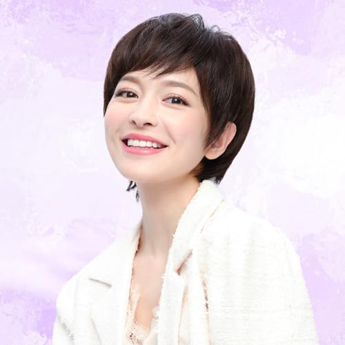 Rebecca Youth ウィッグ レディース フルウィッグ 女性用 斜め前髪ショートカット 女装 知性派エレガント ショートストレート (ダークブラウン, 24CM)