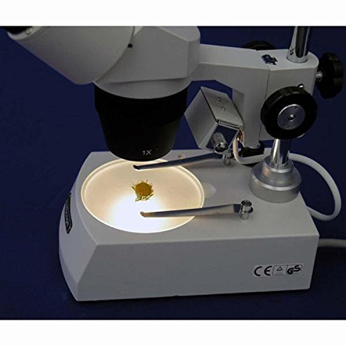 Amscope Se307-Px Binocular Stereo Microscope, Wf5X And Wf10X Eyepieces, 5X/10X/15X/30X Magnification, 1X And 3X Objectives, Upper And Lower Halogen Lighting, Reversible Black/White Stage Plate, Pillar Stand, Rotating Head, 110V-120V #TOP5